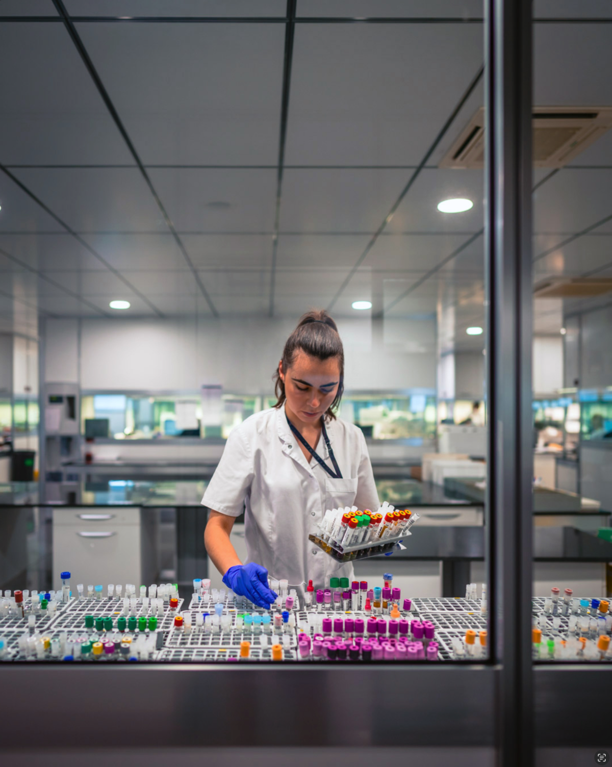 Considerations on the pre-analytical phase