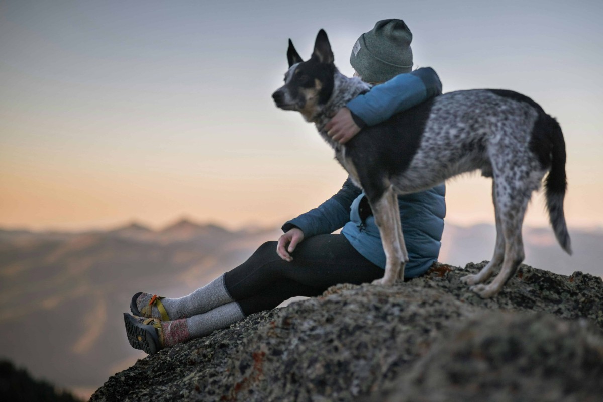 Did you know that Lipase & Amylase are key digestive enzymes in dog and cat metabolism?